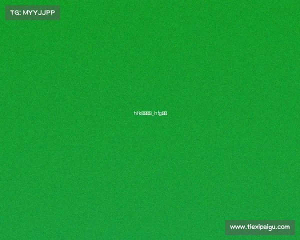 hfk以前赛事_hfg战队