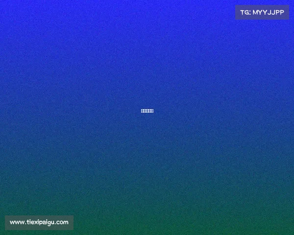 赛事在哪看 赛事在哪看